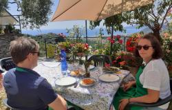 Lunch in the garden