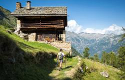 trekking in the alps