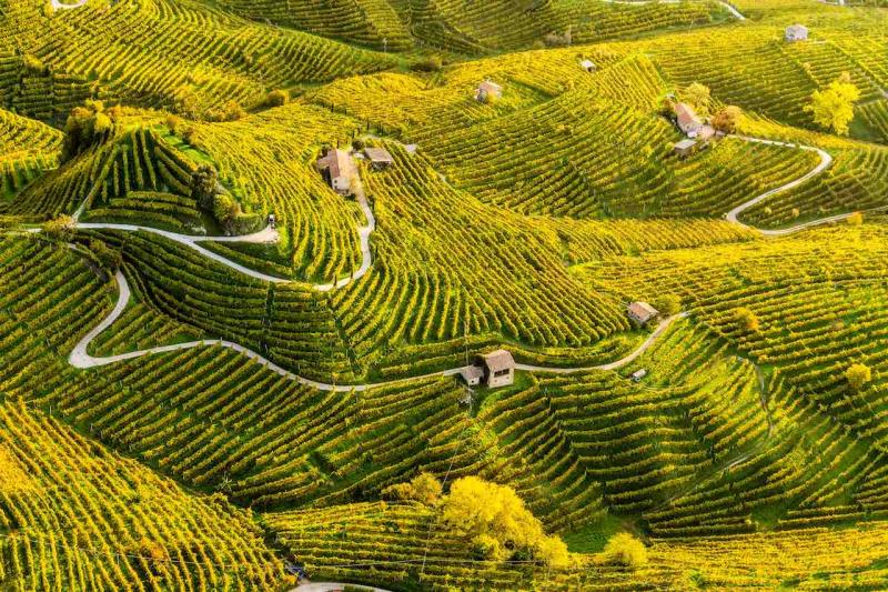 Winding paths in the Valdobbiadene area of Veneto, known for Prosecco production